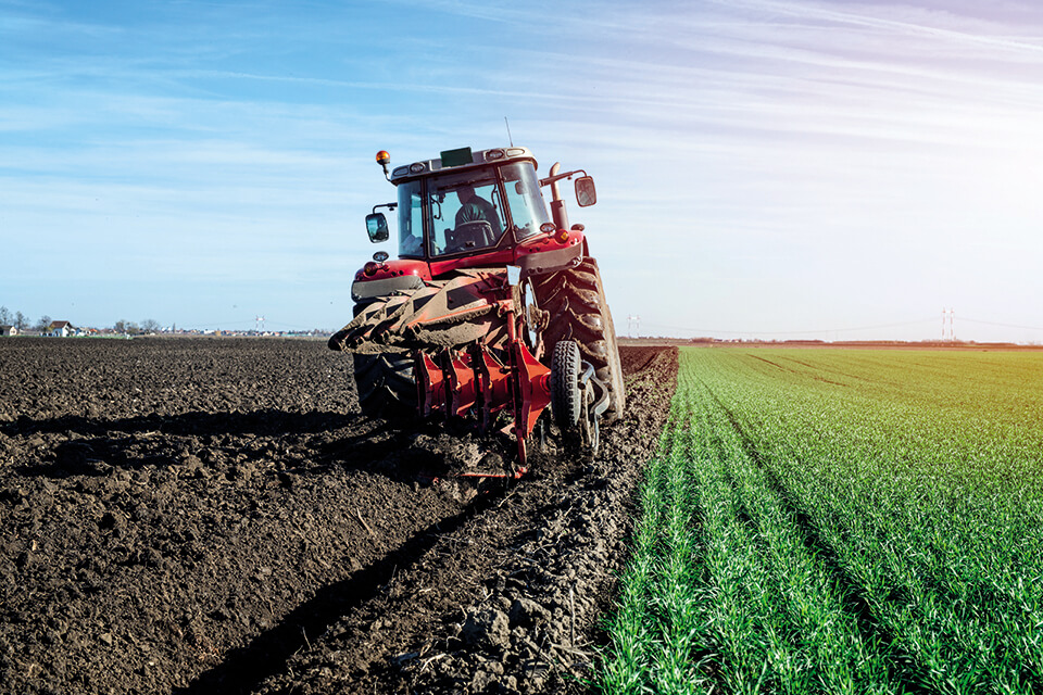 AGROINDUSTRIAL